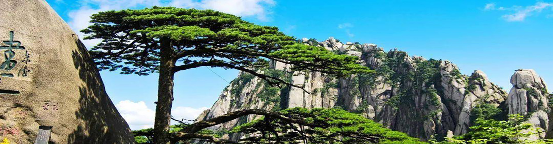 背景图1