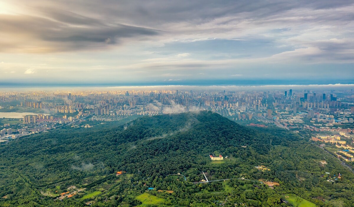 背景图4
